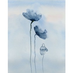 Poppies in blue