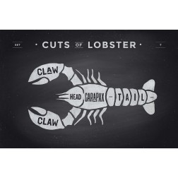 Cuts of Lobster 