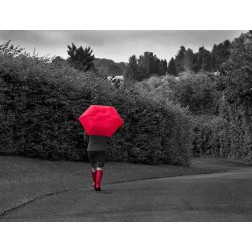 Red Boots and Umbrella
