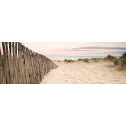 Sand Fence, Early Morning