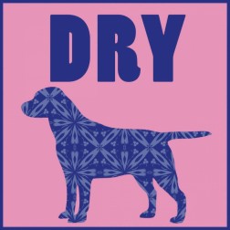 Dry Dog