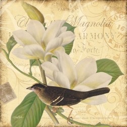 Bird Magnolia