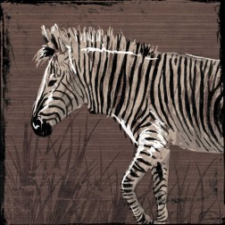 Zebra Walk Brown