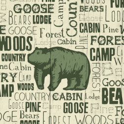 Bear Typography