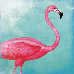 Tropical Flamingo 2
