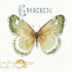 My Greenhouse Butterflies IV