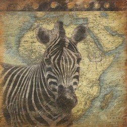 Zebra travel