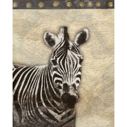 Zebra Africa 2