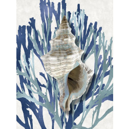Shell Coral Aqua Blue III