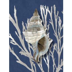 Shell Coral Silver on Blue III