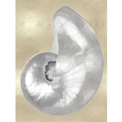 Silver Pearl Shell on Gold I