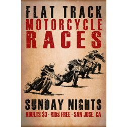 Flat Track Racers
