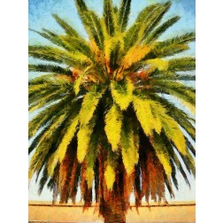 California Palm
