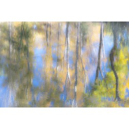 Tree Reflections I