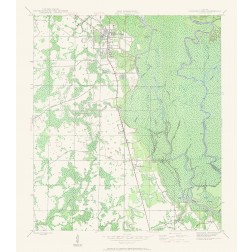Wewahitchka Florida Quad - USGS 1944