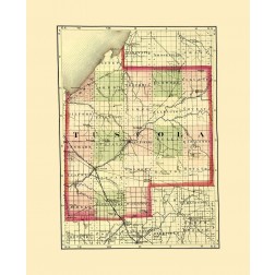 Tuscola Michigan - Walling 1873