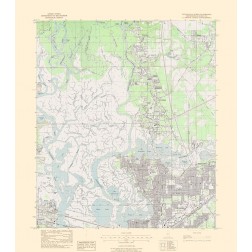 North Pascagoula Mississippi Quad - USGS 1979
