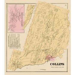 Collins New York Landowner - Stone 1866