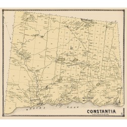 Constantia New York Landowner - Stone 1867
