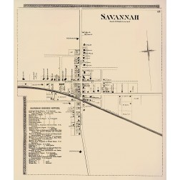 Savannah City New York Landowner - Beers 1874