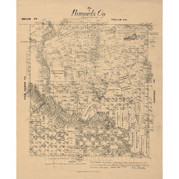 Runnels County Texas - Walsh 1879 