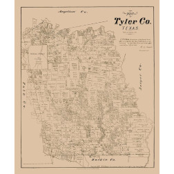 Tyler County Texas - Walsh 1879 