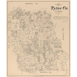 Tyler County Texas - Walsh 1879 