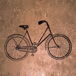 Metalic Bike