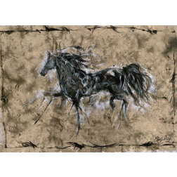 Crackle horse