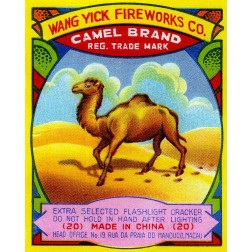 Wang Yick Fireworks Camel Brand
