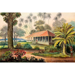 Rasthaus von Belligemma Sudkuste von Ceylon