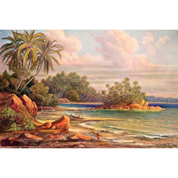 Cocos-Insel bei Belligemma (Gan-Duva) Ceylon