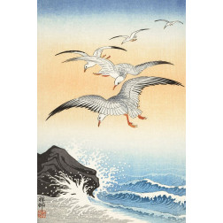 Five seagulls above turbulent sea