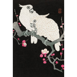 Two cockatoo and plum blossom