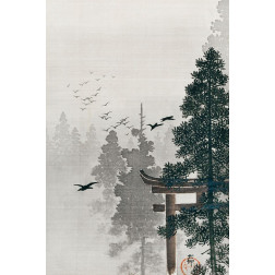 Flock of birds and a torii gate in a pine tree forest
