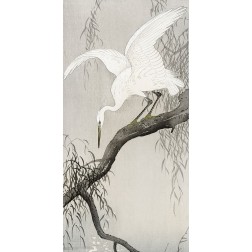 White heron on tree branch