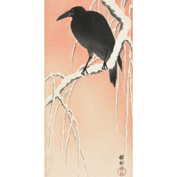 Crow on snowy branch