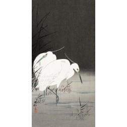 Two egrets in the reeds