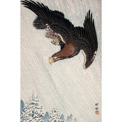 Eagle Flying in Snow