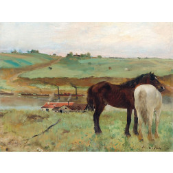 Horse in a Meadow