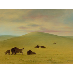American Pasturage - Prairies of the Platte
