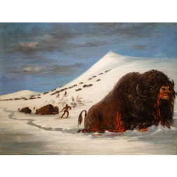 Buffalo Hunt in Snow Shoes