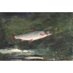 Leaping Trout