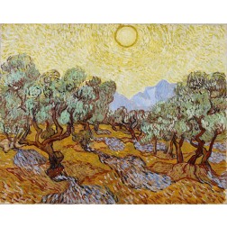 Olive Trees with yellow sky and sun