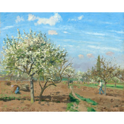 Orchard in Bloom, Louveciennes